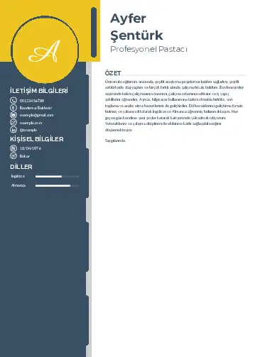 Pastacı Cv Örnekleri cv indir